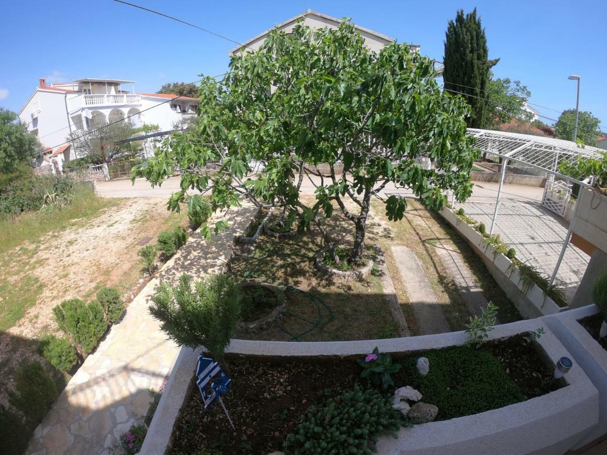 Apartments Delibasic Рогозниця Екстер'єр фото