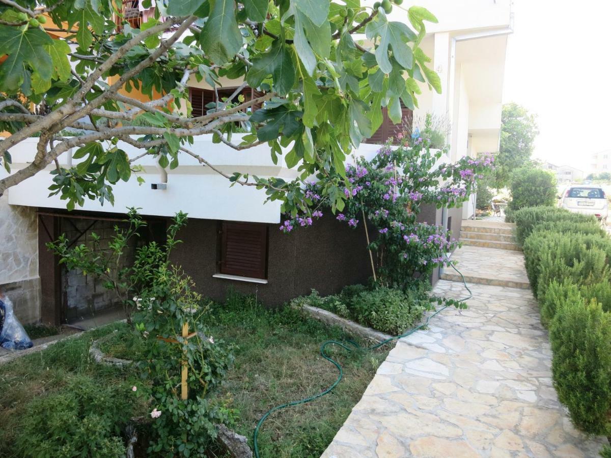 Apartments Delibasic Рогозниця Екстер'єр фото